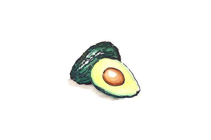 Illustration einer Avocado.