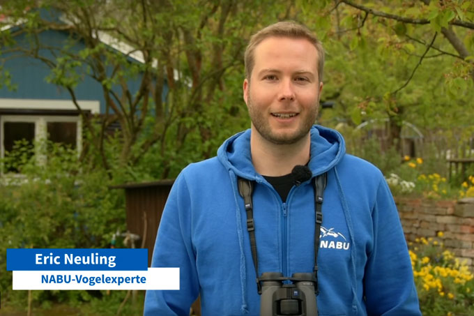 VIDEO: NABU-Vogelexperte Eric Neuling stellt die häufigsten Gartenvögel vor