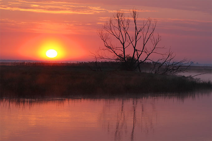 Sonnenaufgang an der Biebrza - Foto: Frank Derer